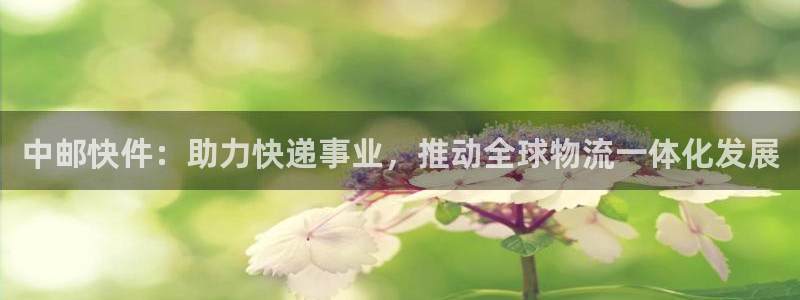 多多28二维码：中邮快件：助力快递事