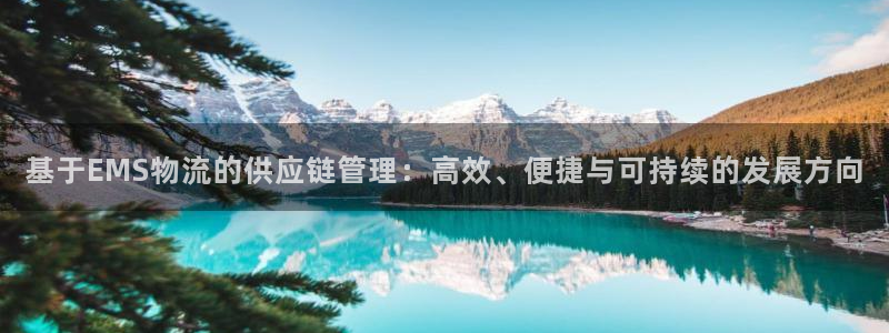 多多28娱乐官网网页：基于EMS物流