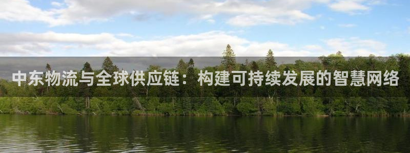 多多28APP是干什么的：中东物流与