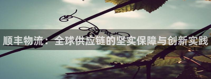 多多28网站平台