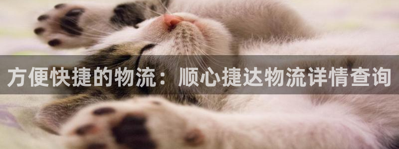 多多28绿骨头