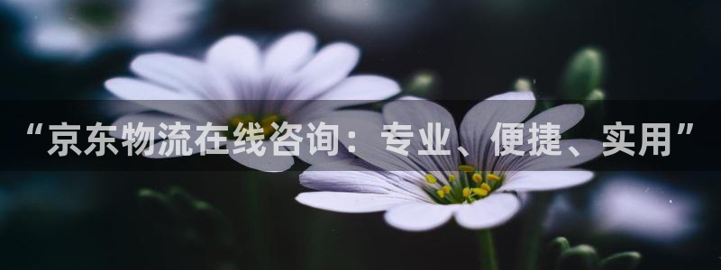 多多28能提现吗