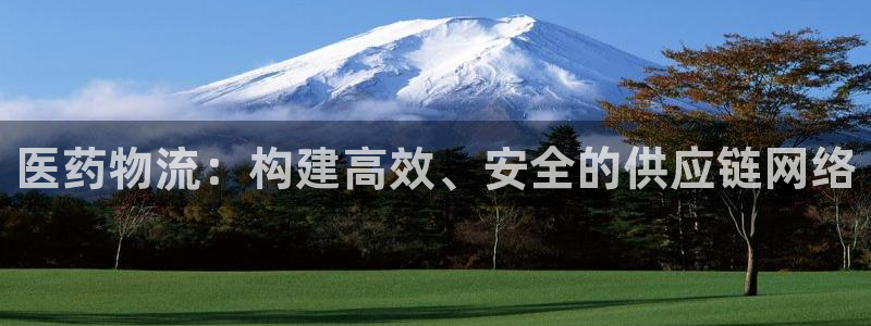 多多28官网多少:医药物流:构建高效