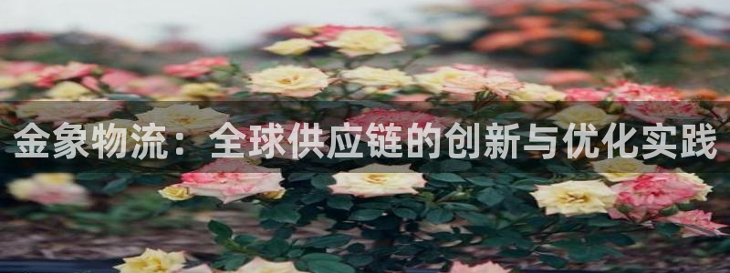 多多28官网下载链接怎么弄：金象物流