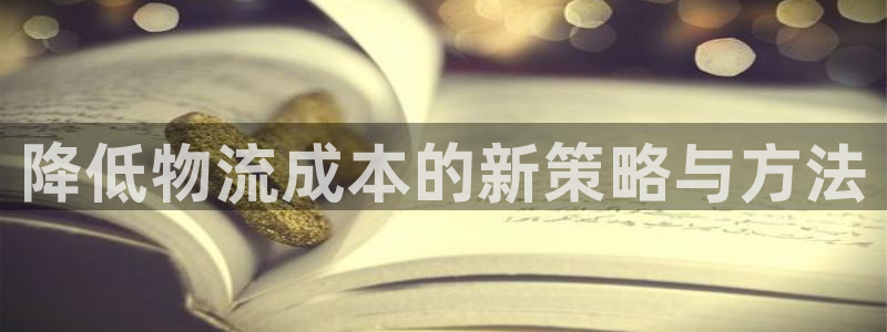 多多28注册二维码：降低物流成本的新策略与方法