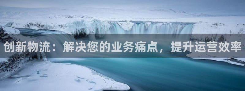 多多28模拟：创新物流：解决您的业务