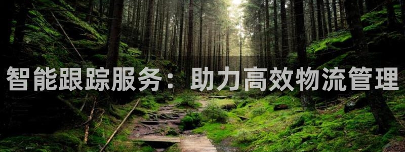 多多28提现未达5期是什么意思：智能跟踪服务：助力高效物流管
