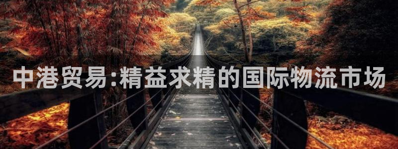 多多28怎么注册账号和密码：中港贸易