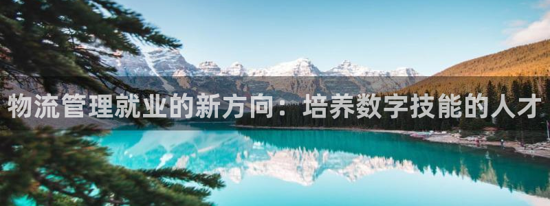 多多28官网平台：物流管理就业的新方