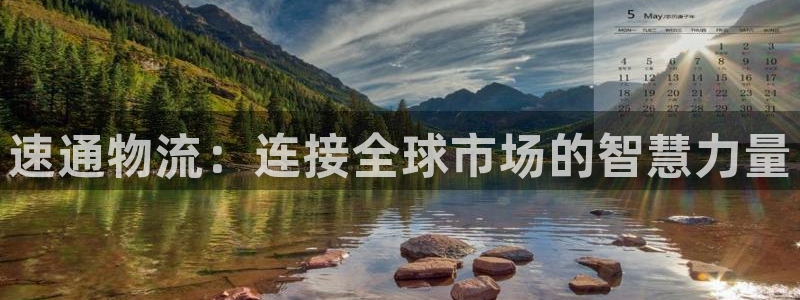 多多28电子：速通物流：连接全球市场