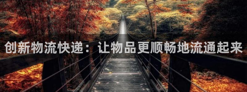 多多28加拿大能提现吗：创新物流快递