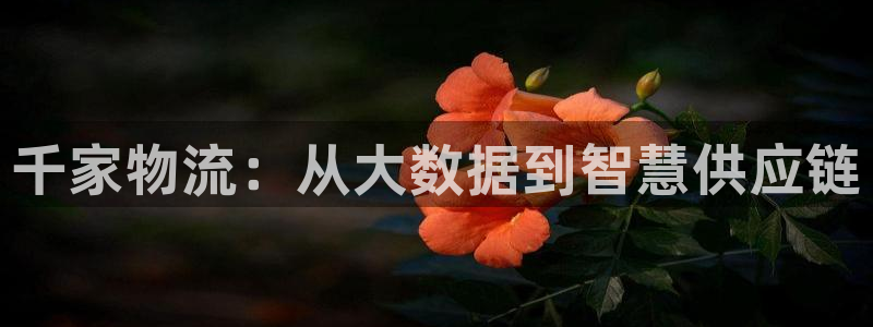 多多28游戏链接：千家物流：从大数据