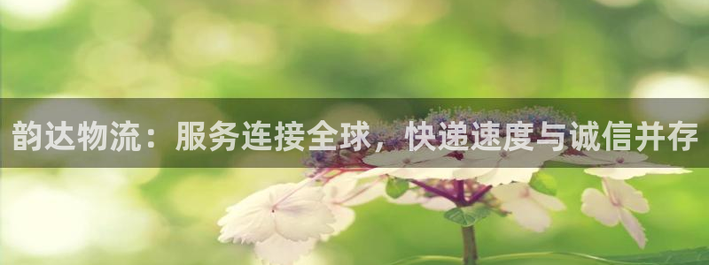 多多28免费：韵达物流：服务连接全球