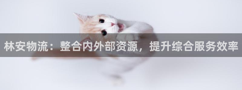 多多28充值不到账：林安物流：整合内