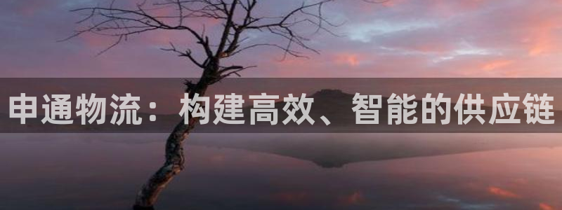 多多28网站平台是多少：申通物流：构