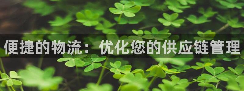 多多28怎么申请代理：便捷的物流：优