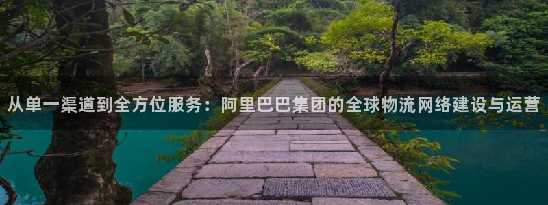 多多28如何看计划