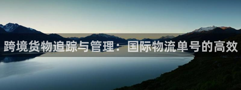 多多28软件