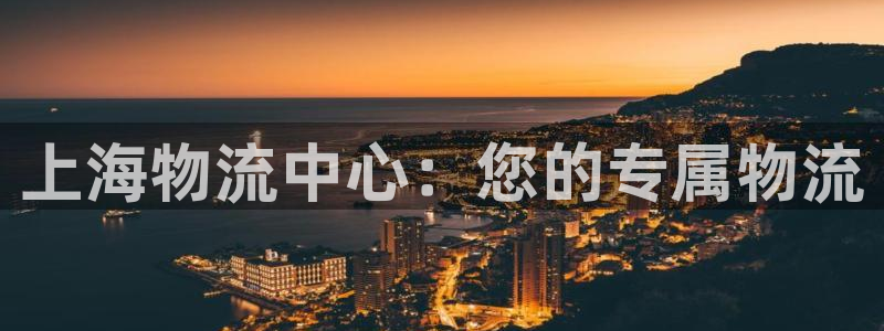 多多28能提现吗:上海物流中心:您的