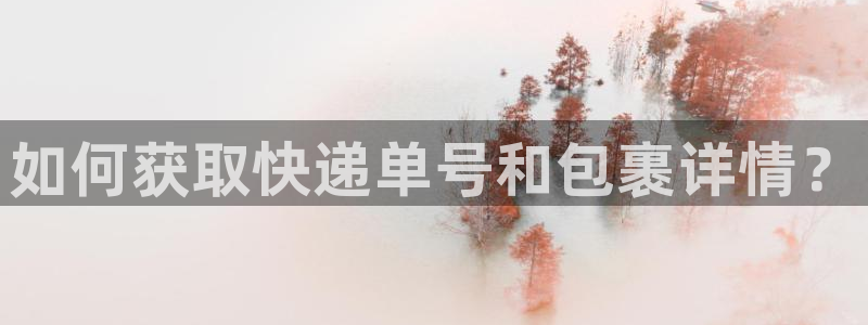 多多28官网入口正版:如何获取快递单