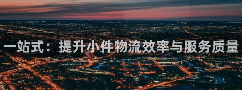 多多28图片:一站式:提升小件物流效