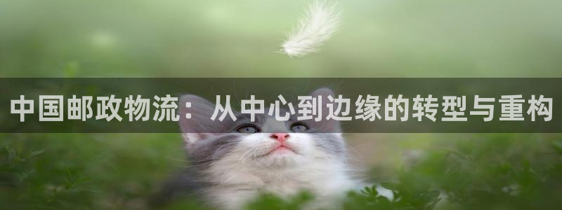 多多28电子：中国邮政物流：从中心到边缘的转型与重构