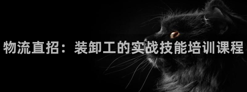 多多28免费:物流直招:装卸工的实战