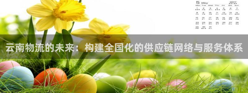 多多28官方网站:云南物流的未来:构