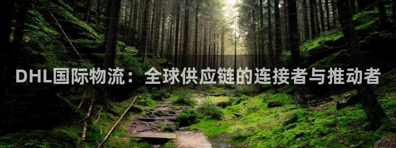 多多28模拟器在线玩:DHL国际物流