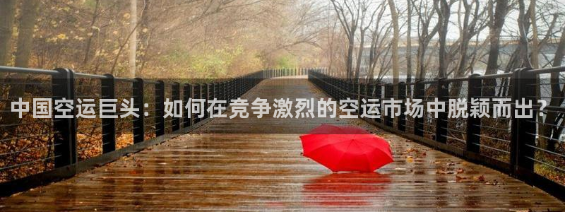 多多28官网入口:中国空运巨头:如何