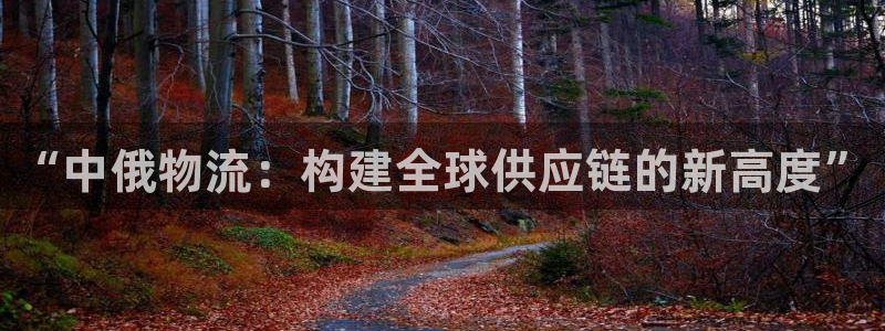 多多28登录流程:“中俄物流:构建全