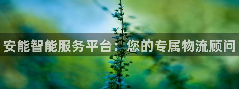 多多28官网版所有版本:安能智能服务