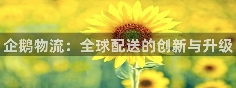 多多28登录流程：企鹅物流：全球配送的创新与升级