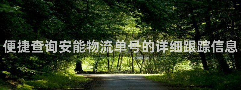 多多28龙虎：便捷查询安能物流单号的