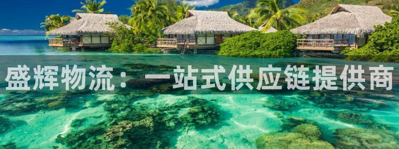 多多28注册地址：盛辉物流：一站式供