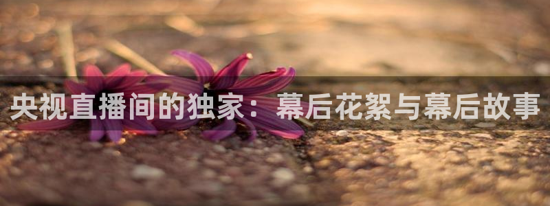 新闻图片