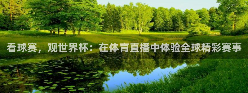熊猫高清直播：看球赛，观世界杯：在体育直播中体验全球精彩赛事