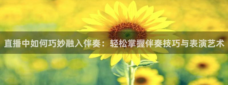 动感熊猫体育公园：直播中如何巧妙融入伴奏：轻松掌握伴奏技巧与表演艺术