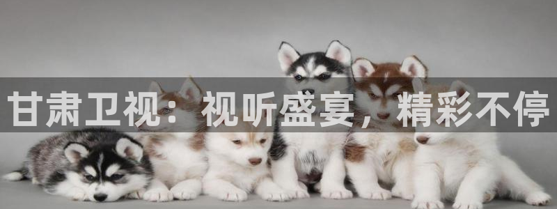 熊猫体育在线直播app：甘肃卫视：视听盛宴，精彩不停